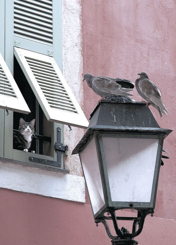 爱游戏娱乐-_天幕高空飞跑：在空中穿梭自由飞翔_，天幕高层什么意思